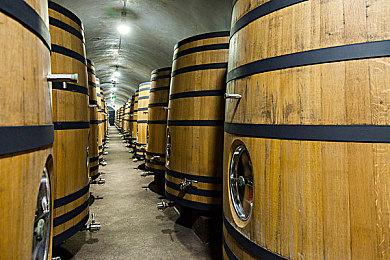 《机甲少女★爱丽丝CS》90秒介绍影片 9月8日发售